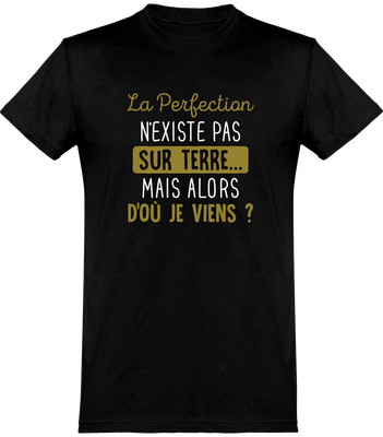 T Shirt Homme La Perfection N Existe Pas Cadeau Humour Papa Anniversaire Origi Ebay