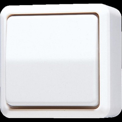 Jung 506U Wippschalter – Universal Aus-Wechsel, 10 AX 250V, Mit Federklemmen, Unterputz, Für Beleuchtung & Installation