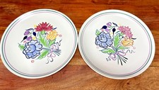 Vintage Poole Pottery Floral Plates Pair – Hand Painted England – BN ZY Pattern