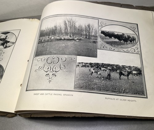 Antique Souvenir Photograph Book Brandon Manitoba Canada Illustrated - Picture 15 of 19