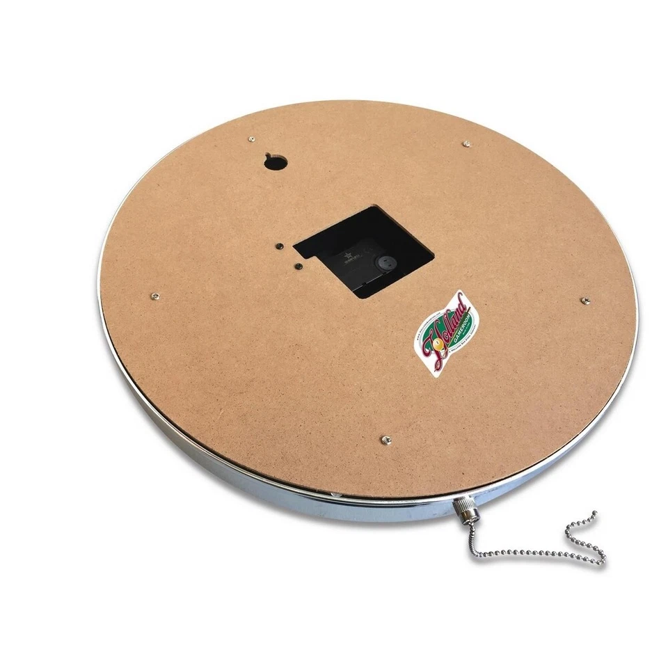 NCAA - Eastern Illinois Double Neon Ring, Logo Clock College Team Logo - Image 2 of 3