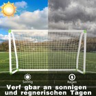 Bild 7 von 12