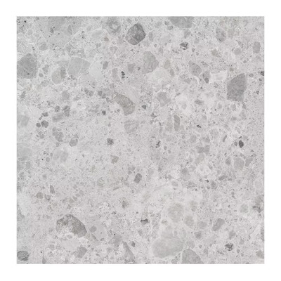 Ambience Terrazzo Silver 24In.X 24In.X 10Mm Porcelain Floor and Wall Tile - Case