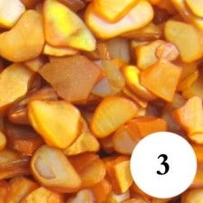 100g Natural Sea Shell Mosaic Tiles for Arts Crafts Material Various Mixes Dec