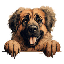 10 x Leonberger car sticker 9 x 9 cm dogs sticker