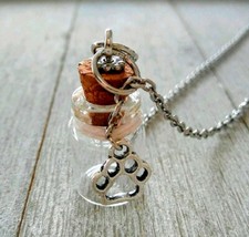 Pet Loss Gifts Pet Memorial Jewelry Memory Pet loss Necklace Lock of Hair Jar 