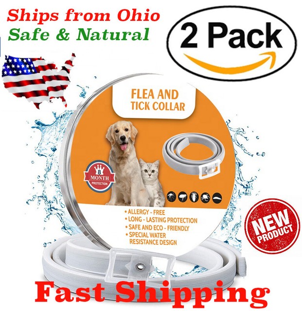 the new flea collar