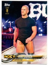 Danny Burch WWE Pro Wrestling Trading Card Topps RAW NXT #119 2018 Wrestler