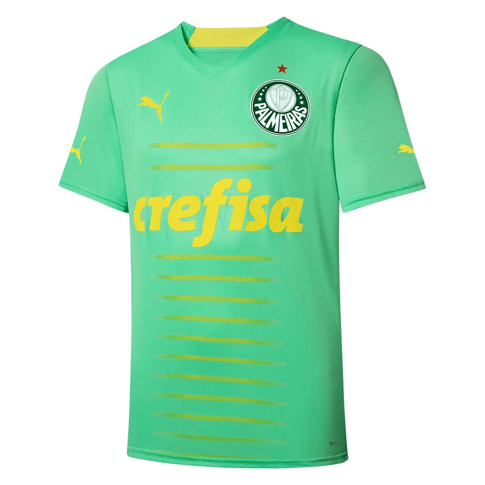 Com 100%, Palmeiras fecha o mês de janeiro como 'melhor time do Brasil
