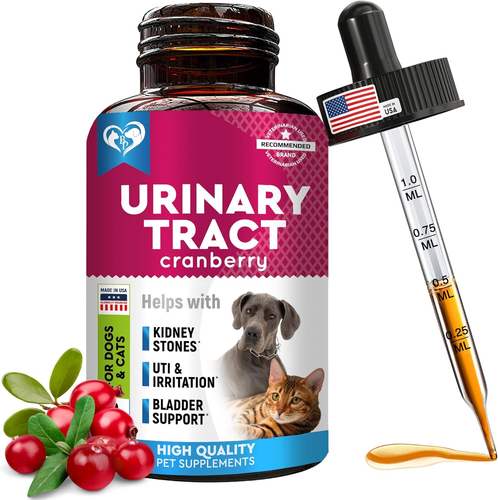 Snapshot of Cat With Kidney Disease Uti Natural Remedies Homeopathy