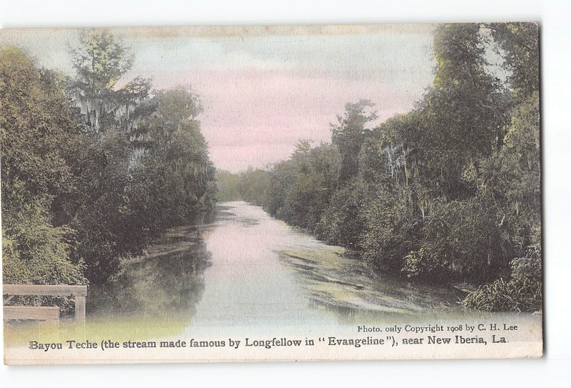 New Iberia Louisiana LA Postcard 1908 Bayou Teche