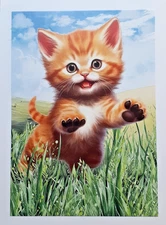 a cat funny any occasion card - a kitten playing in the grass          ED#320