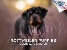 Rottweiler Puppies Calendar 2026 12x18 Made in USA