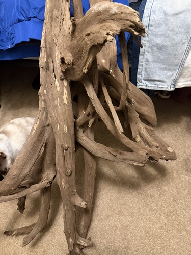(HUGE) 32inch Reptile Enrichment, Aquascaping, Aquarium, Home/gardening decor 🦎