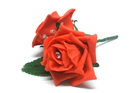 Bild 73 von 121