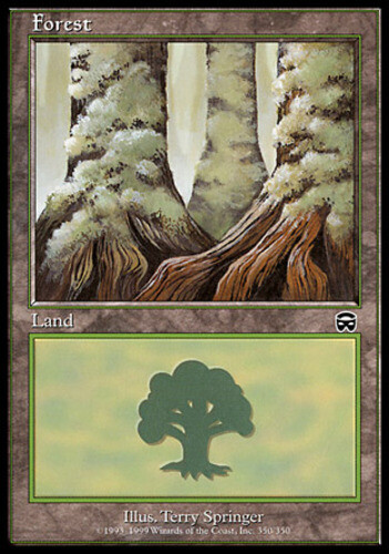 Forest (350) - Foil PL/MP, English MTG Mercadian Masques - Foto 1 di 1