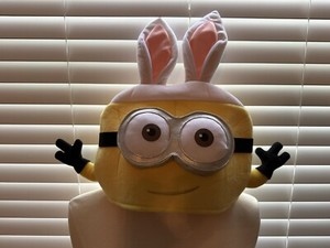 NWT Despicable Me Hat