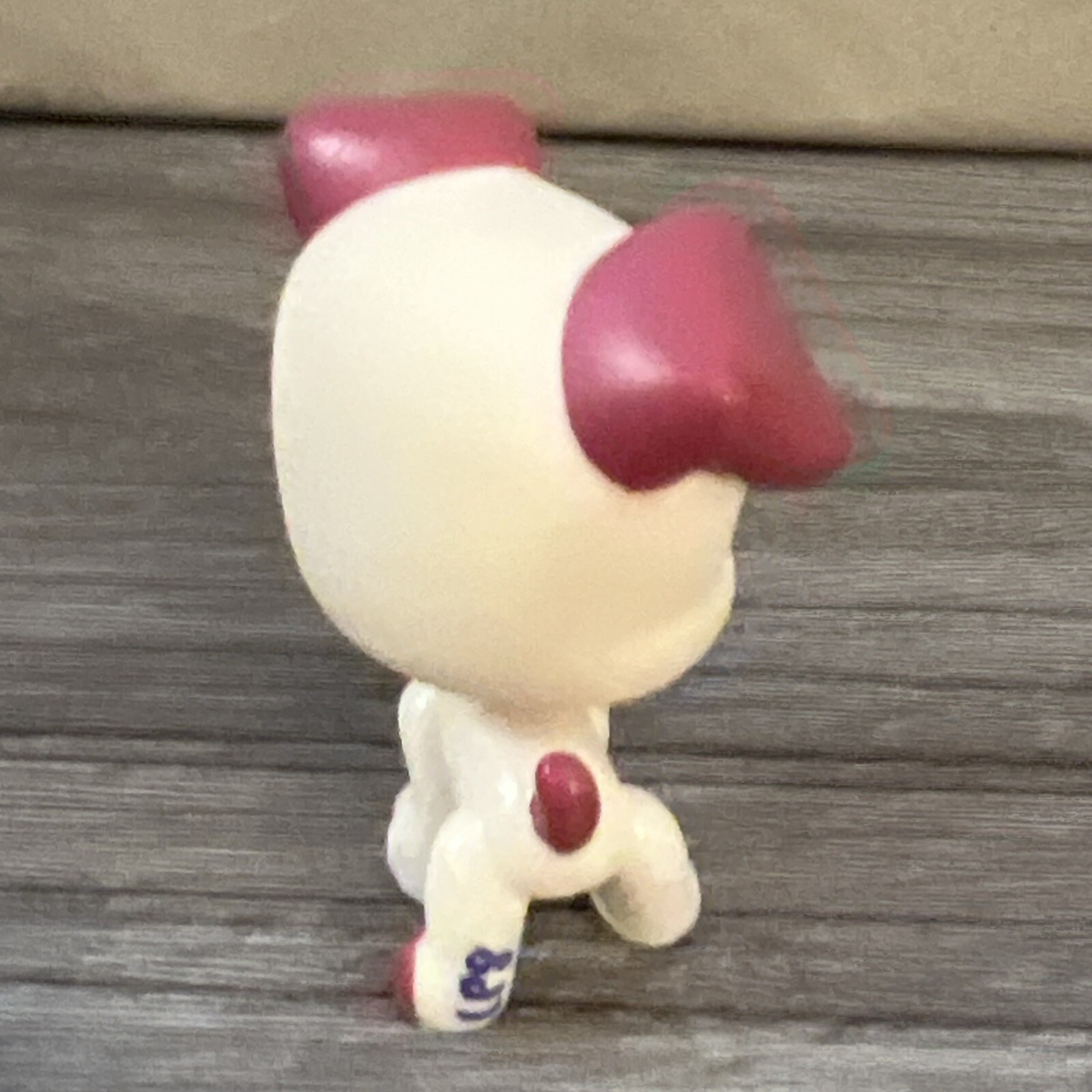 Picture 5 of 16
