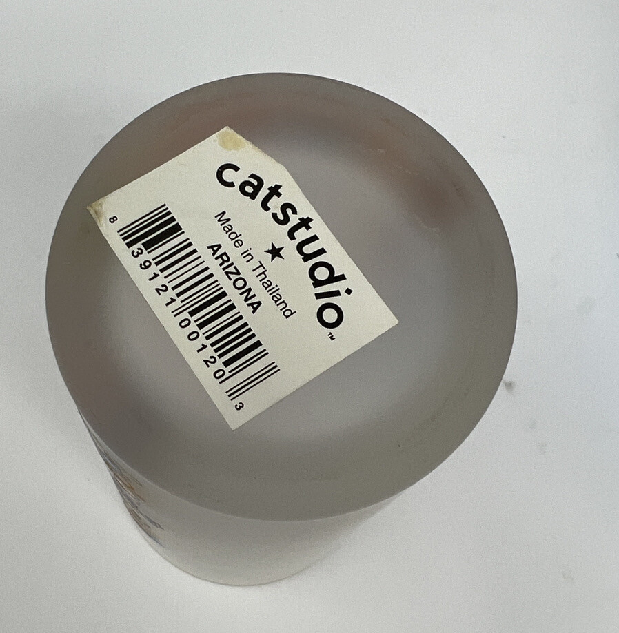 CatStudio 2004 Arizona Frosted Tumbler High Ball Ice Tea Drinking Glass
