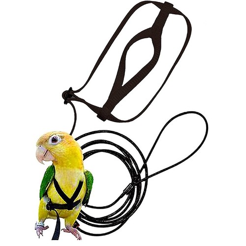 Verstellbares Vogel Fliegengeschirr Leine Seil Vögel Papagei Outdoor Freiflug Training - Bild 3 von 9