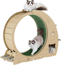 6-In-1 Cat Exercise Wheel for Indoor Cats   Multifunctional Treadmill with Detac