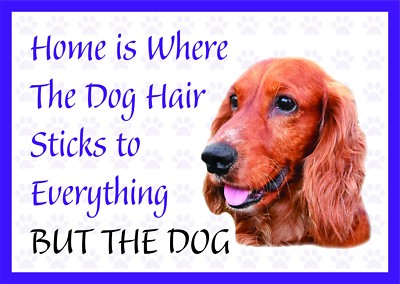 Home is Where The Dog Hair - Lustiger Cocker Spaniel Vinyl Auto Van Aufkleber Sticker Haustier