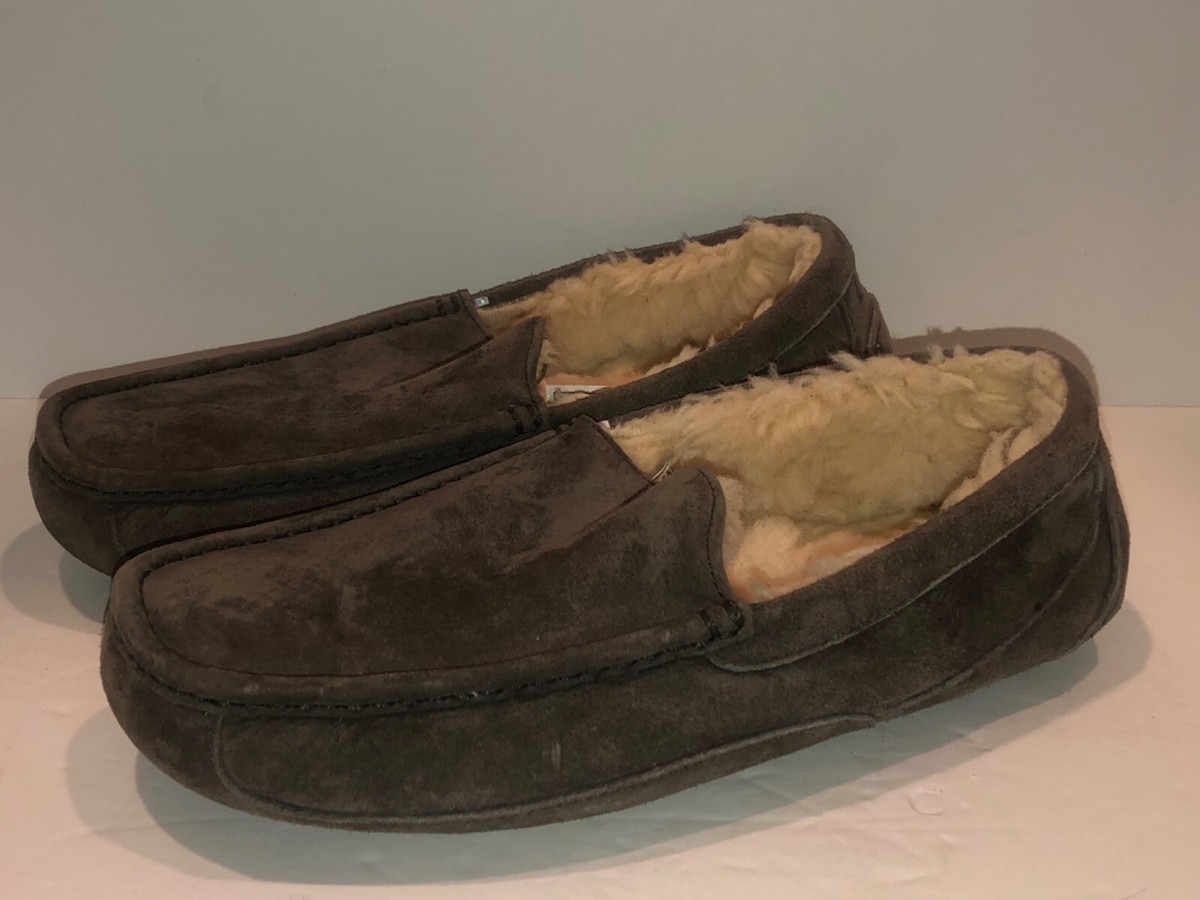 UGG AUSTRALIA S/N 5775 ASCOT MEN display picture 1