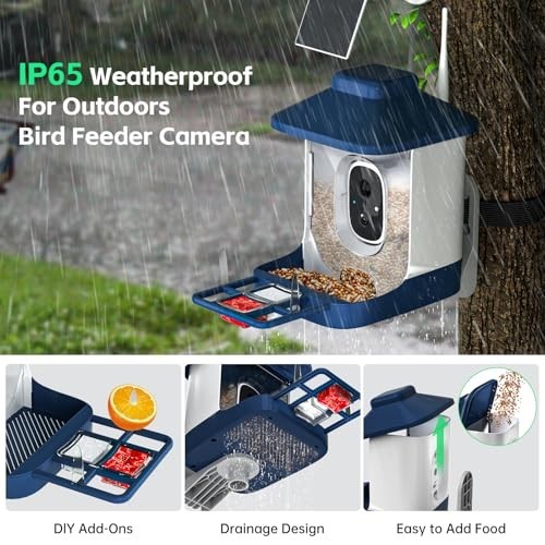 Solarbetriebenes Vogelfutterhaus mit Kamera, AI Vogel ID, Full HD Video, WiFi Warnungen - Bild 6 von 8