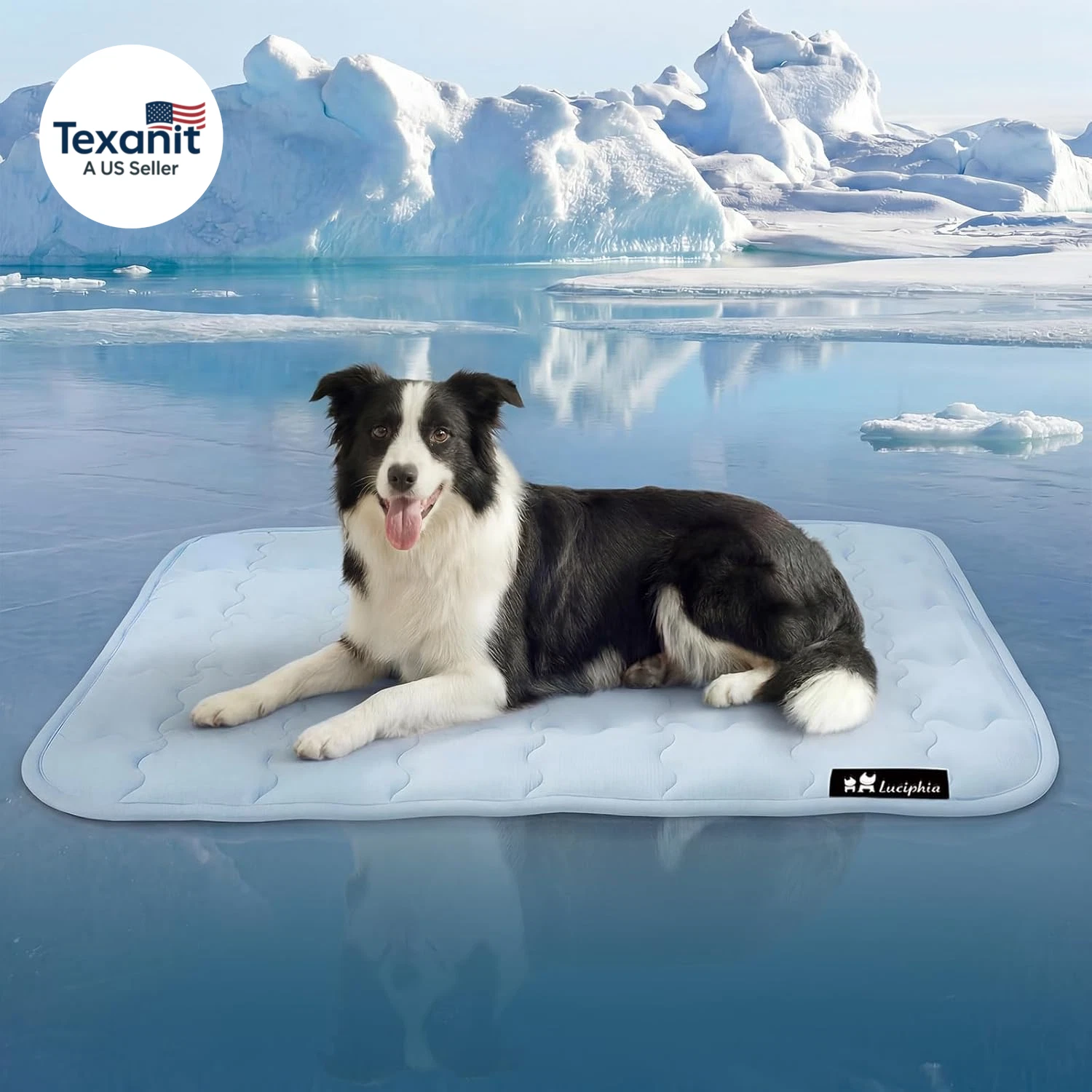 Premium Dog Cooling Mat Non-Slip Q-MAX 0.5 Self-Cooling Pad for Small Pet Cat In