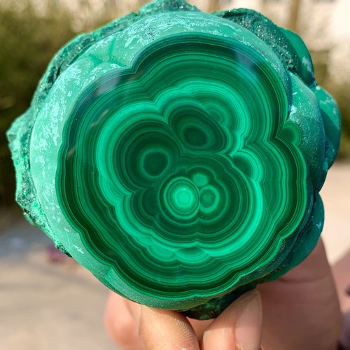 1.39LB Natural glossy Malachite transparent cluster rough mineral sample - 第 5/13 張圖片