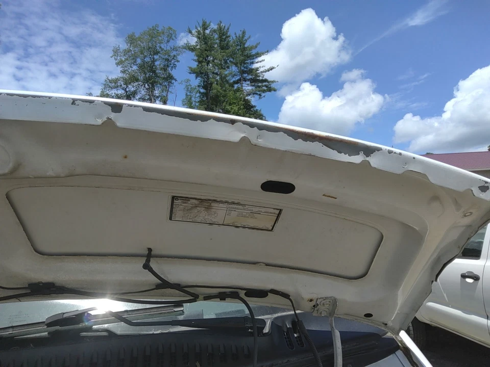 00 DODGE VAN 3500 SERIE Hood Paint Peeling Foto 4 de 4