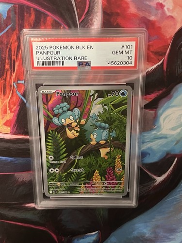 Panpour graded PSA 10 for sale on eBay