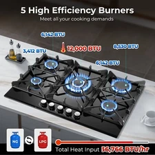 Amzgachfktch 30 In 5 Burners Gas Stove, Built-in NG/LPG Convertible Gas Stove