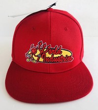 NEW World Industries Skateboard SnapBack Hat Red Willy Flameboy 90  s Style Red