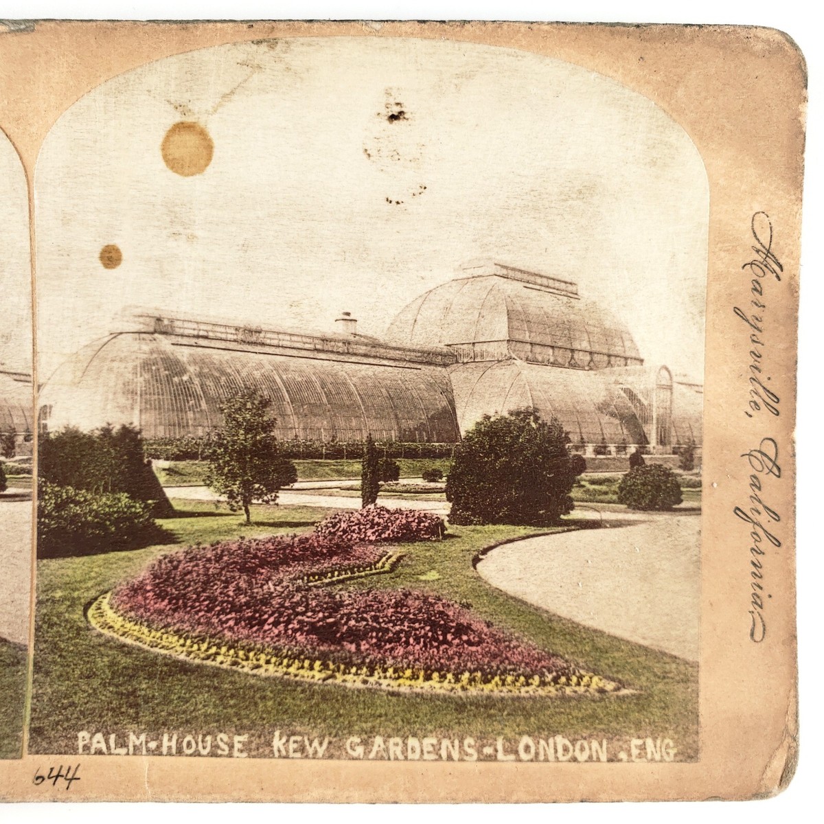 Palm House Kew Gardens Stereoview c1890 Tinted London England
