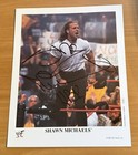 Vintage Original Signed 1998 P-475 WWF Shawn Michaels 8x10 Promo Photo HBK — photo 1