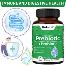 Prebiotic And Probiotic Formula - Supports Digestive Health And Boosts Immunity