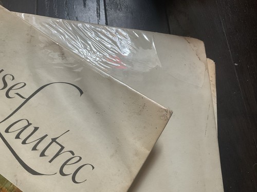 (3) ABRAMS ART BOOKS, RENOIR, TOULOUSE-LAUTREC AND GREAT LANDSCAPES - Foto 8 di 8