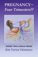 Pregnancy ~ Four Trimesters!? Kim Turton Palmatary Taschenbuch Englisch 2024