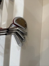 Signature Spectrum Golf Clubs 3 Irons With A ...