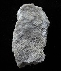 Foto 6 di 6