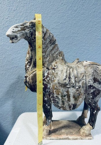 Chinese Tang Dynasty Horse Pottery Statue 11.75" Tall - Picture 14 of 15