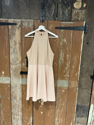 Dorothy Perkins Skaterkleid Beige Anlass Brautjungfer Abschlussball Hochzeit Party 18 Neu