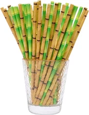 Biodegradable Bamboo Paper Straws Party Supplies 100 Pcs