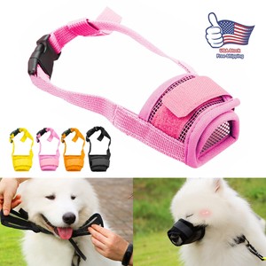 using a muzzle to stop chewing