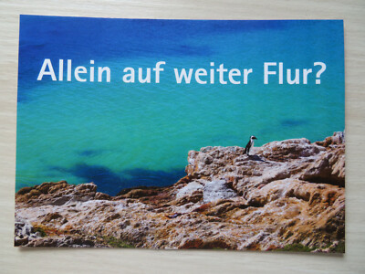 AK Allein auf weiter Flur? Wolfgang Leibniz Universität Hannover (Pinguin Küste)