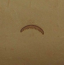 Tandy Leather CRAFTOOL Stamping Tool - VEINER - V463