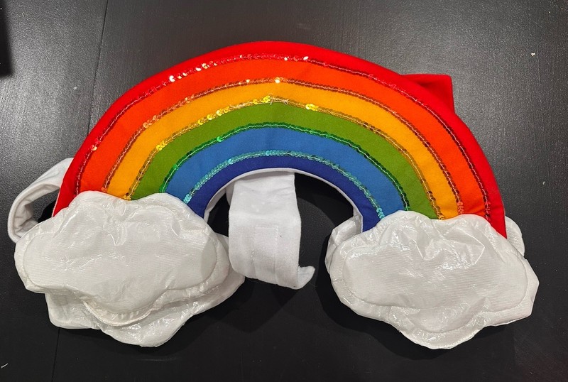 HYDE AND EEK HALLOWEEN PET COSTUME-RAINBOW Medium