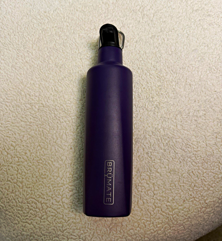 BruMate Hopsulator Purple 16 oz Stainless Steel Water Bottle, Dishwasher Safe