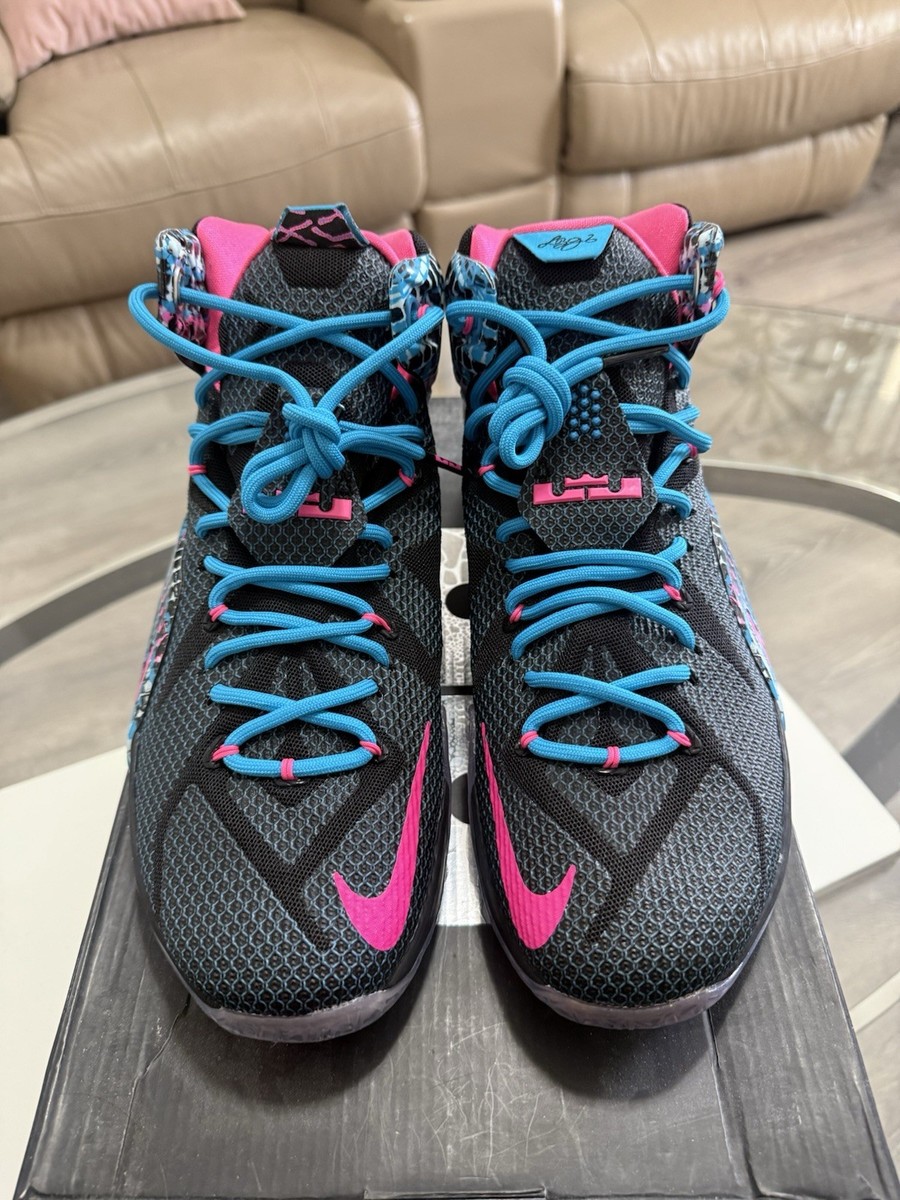 Size 11 - Nike LeBron 12 23 Chromosomes for sale online | eBay